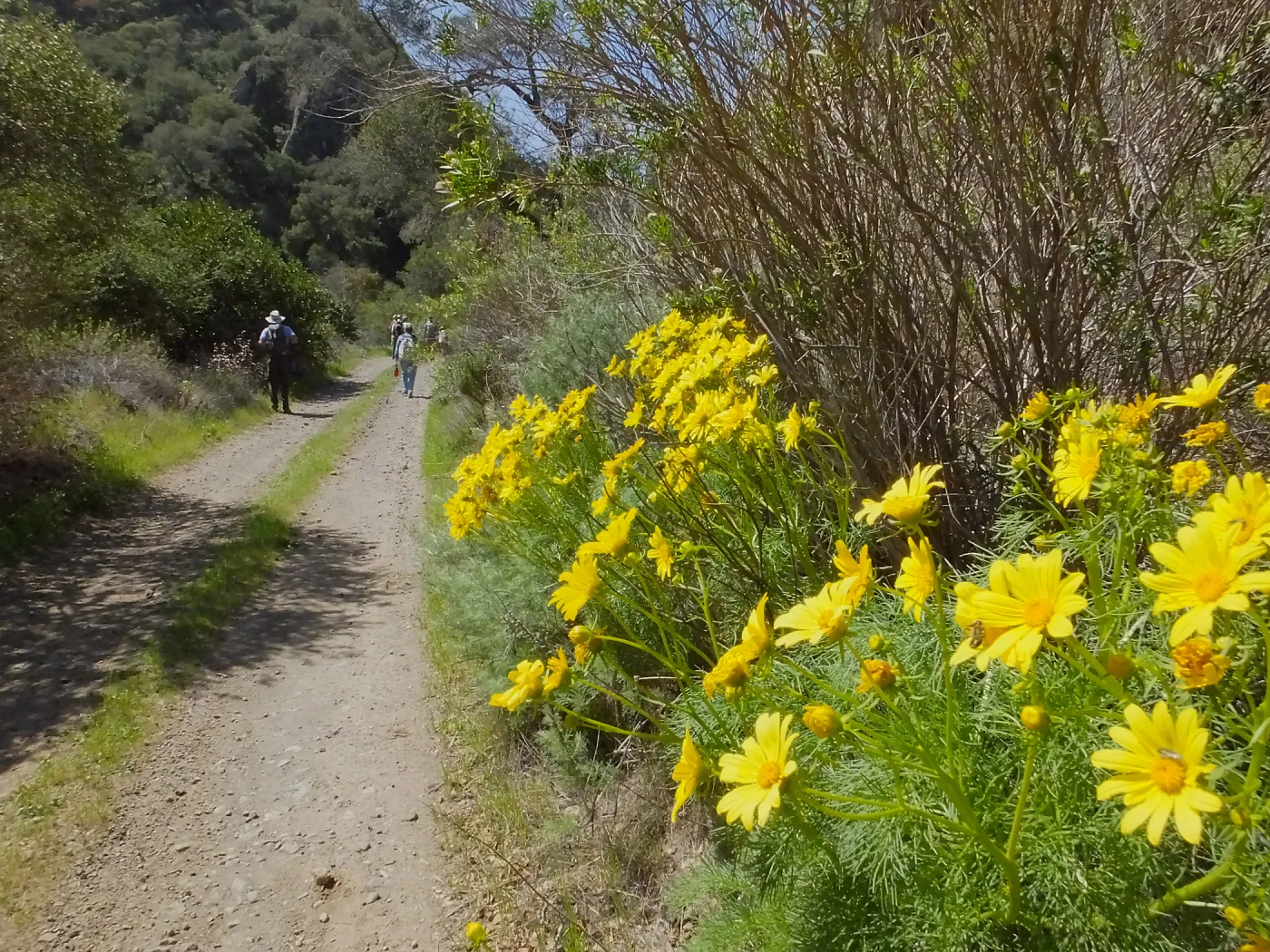 Steve Junak Retirement Trip to Santa Cruz Island