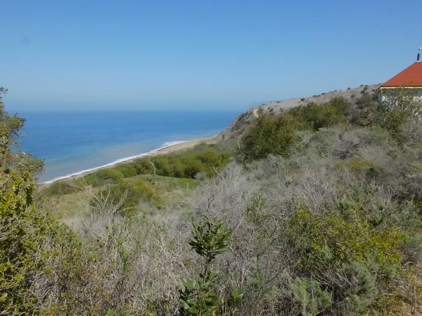 Steve Junak Retirement Trip to Santa Cruz Island
