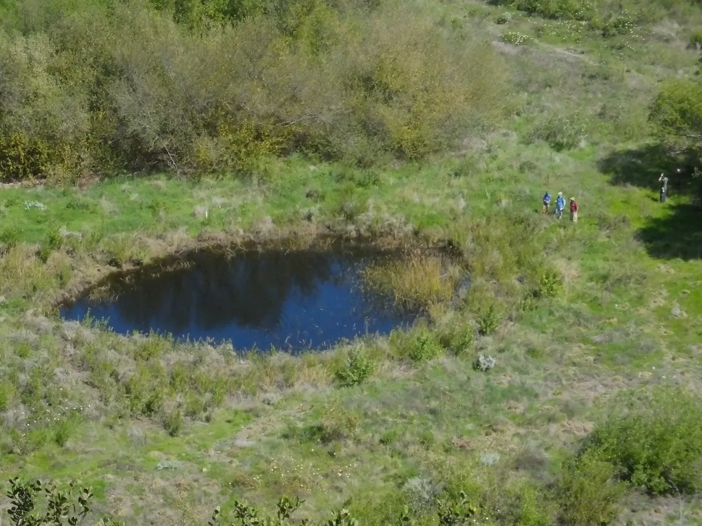 Steve Junak Retirement Trip to Santa Cruz Island