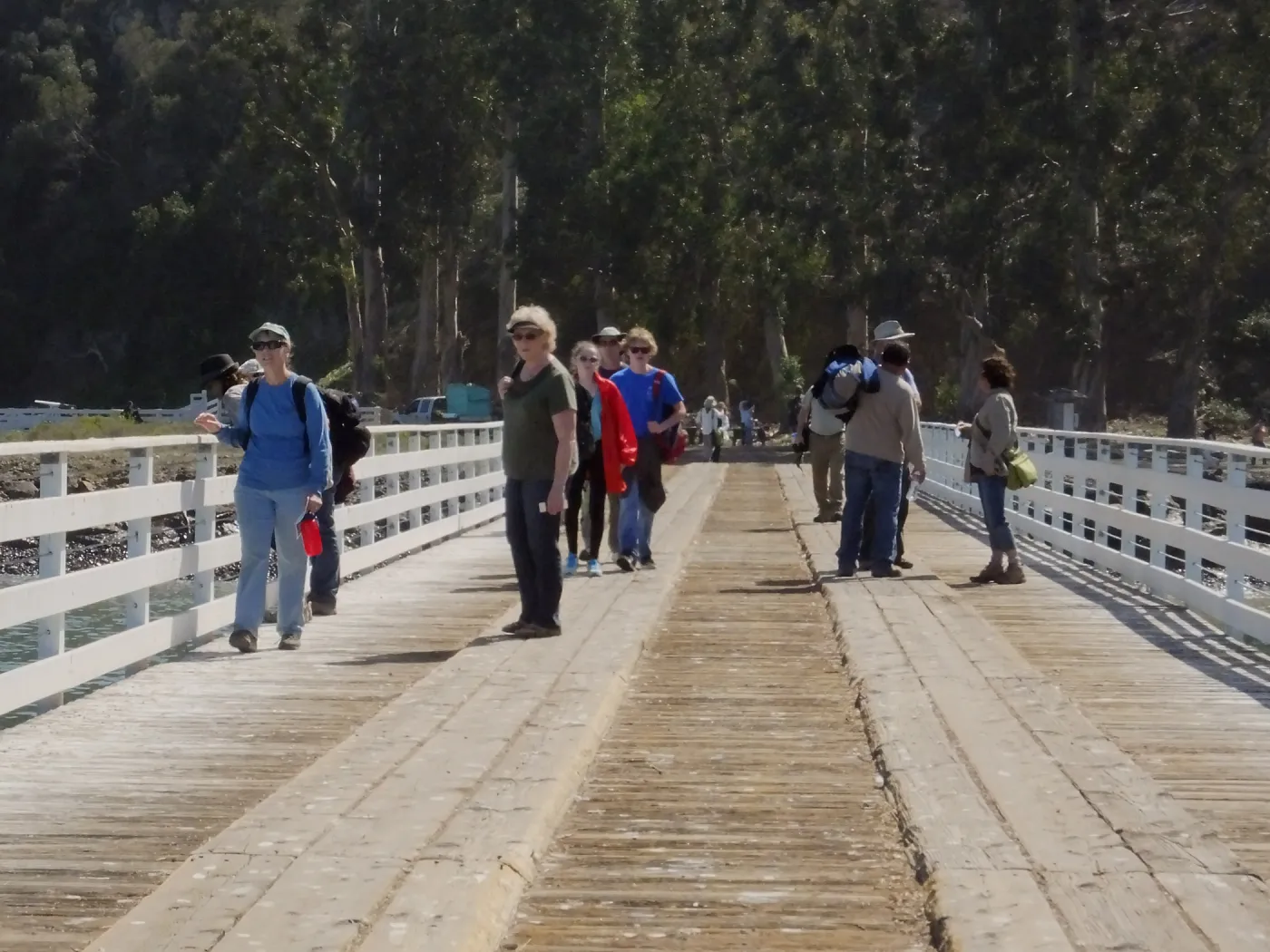 Steve Junak Retirement Trip to Santa Cruz Island