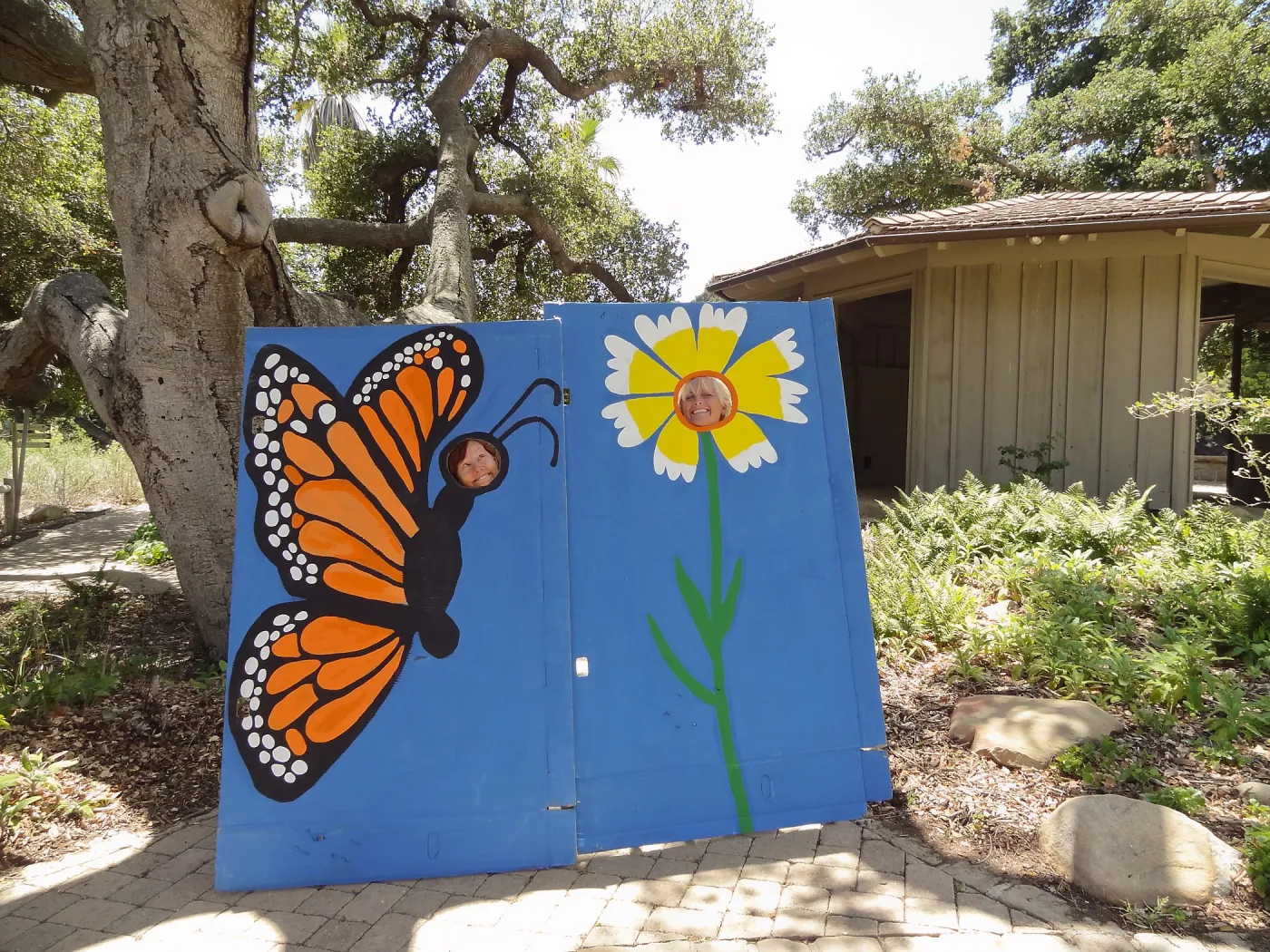 Karin Hodin, Tiffany Smith, photo opportunity, butterfly and tidytip, Volunteer Luncheon