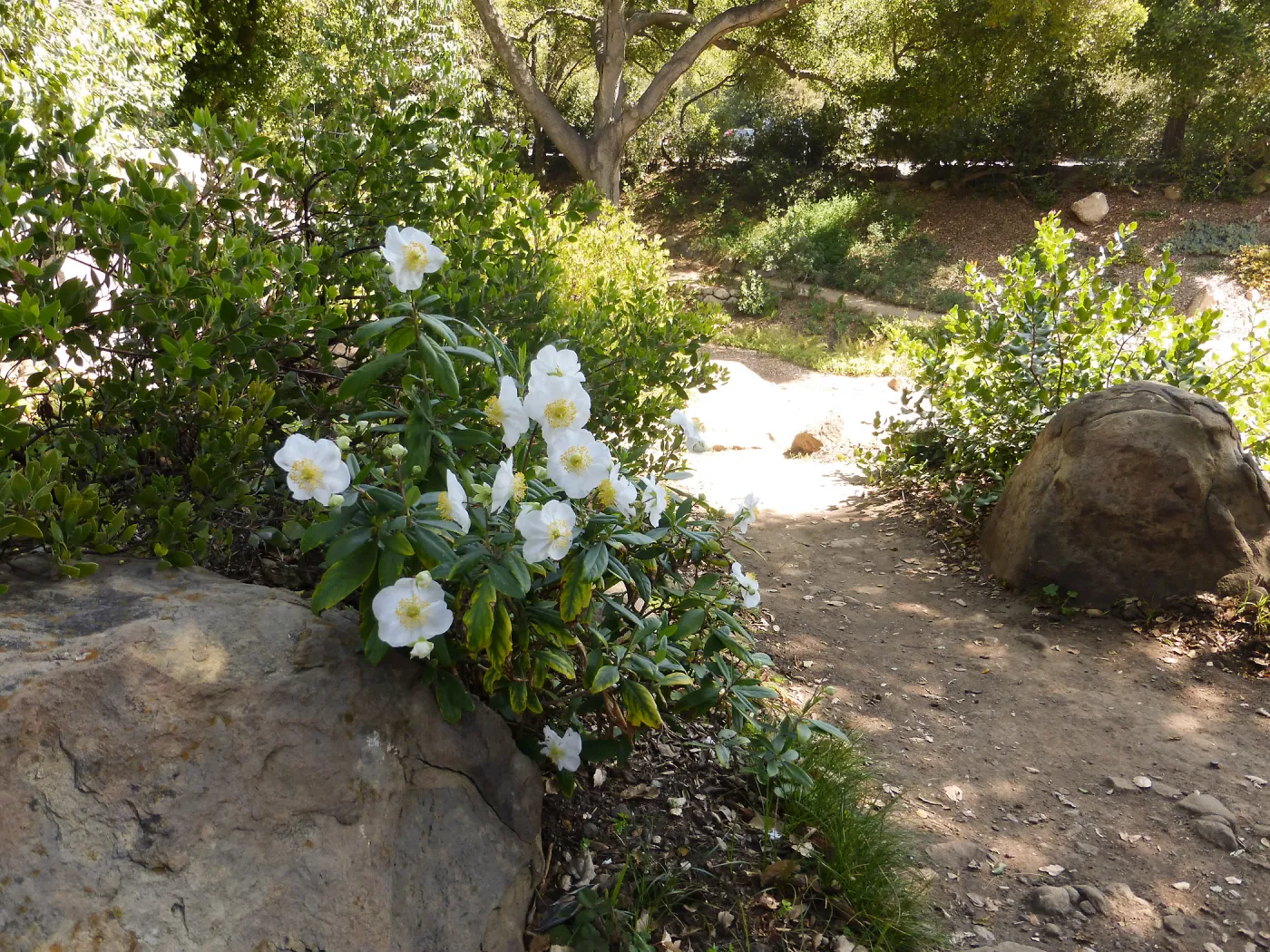 Home Demonstration Garden