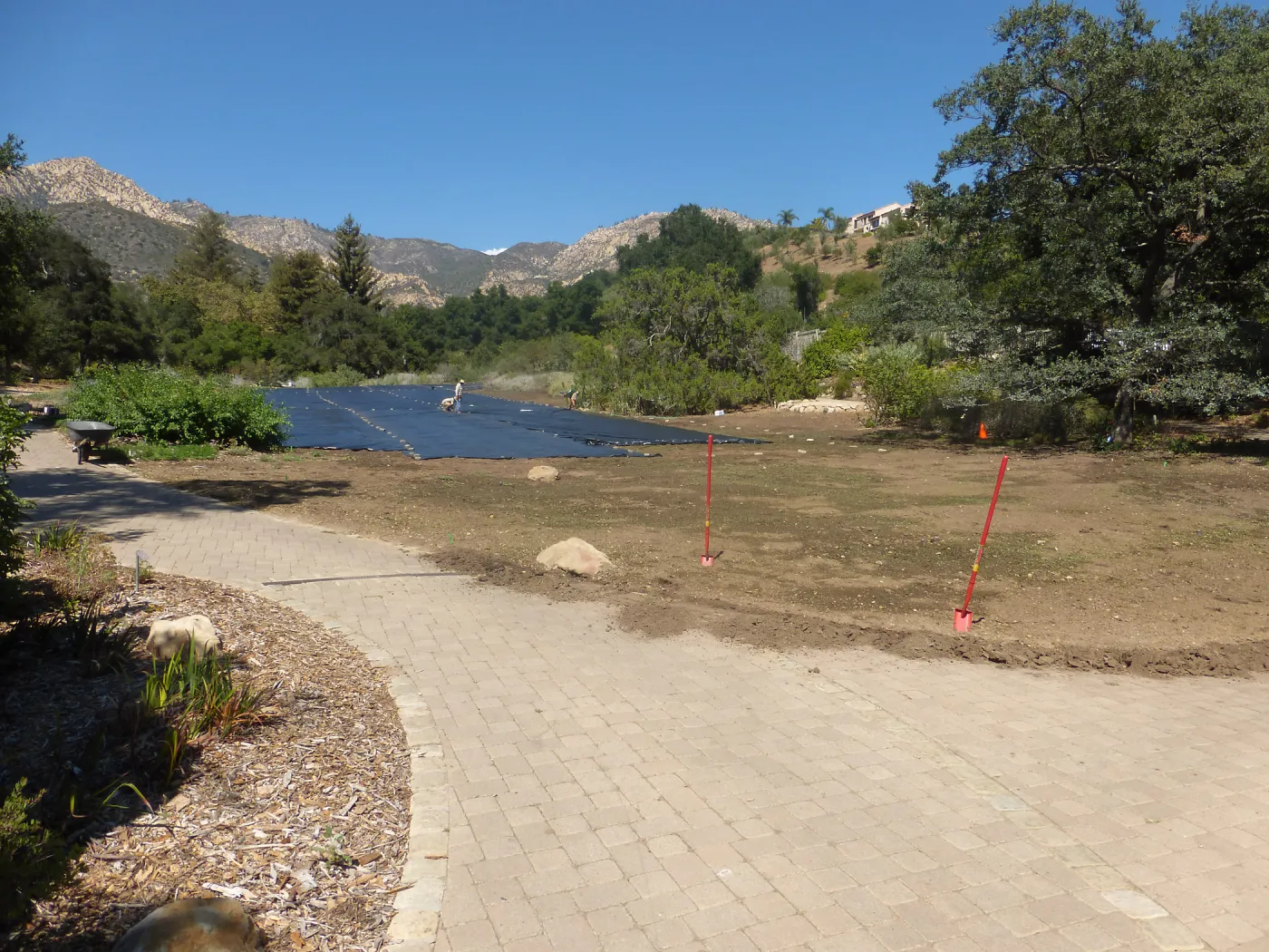 Meadow Revival Project Black Plastic Mulch Installation
