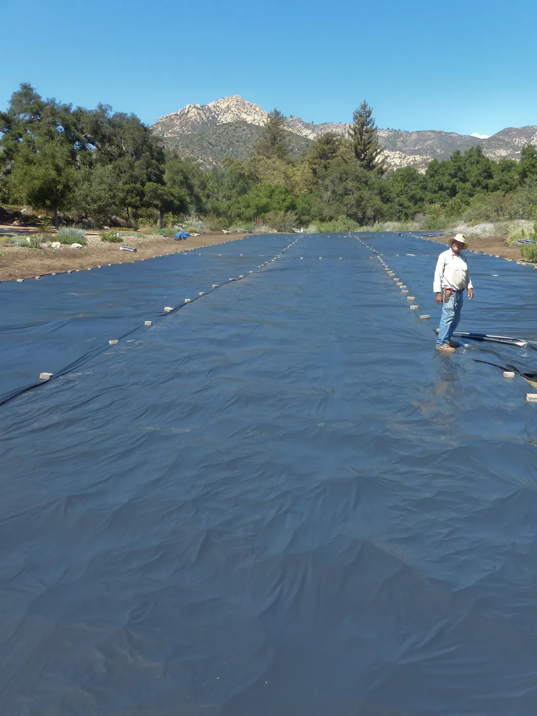 Meadow Revival Project Black Plastic Mulch Installation
