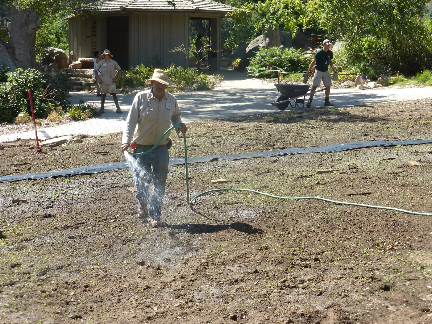 Meadow Revival Project Black Plastic Mulch Installation