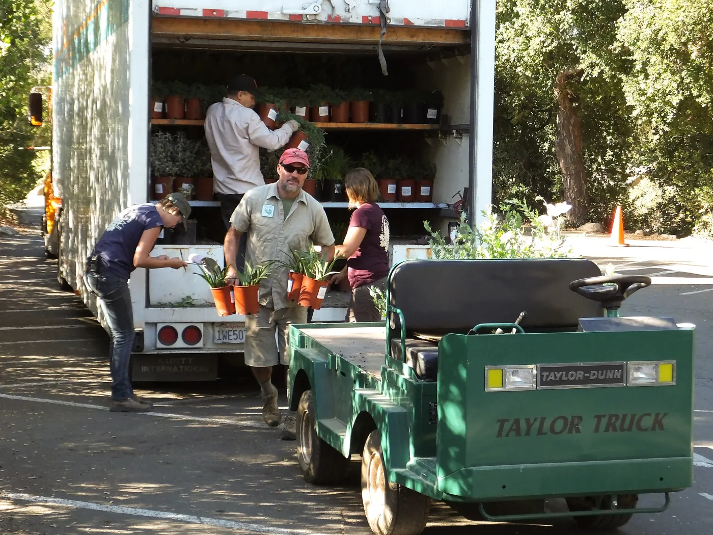 Fall Plant Sale 2014 Preparations