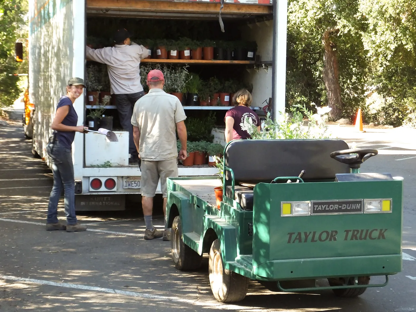 Fall Plant Sale 2014 Preparations