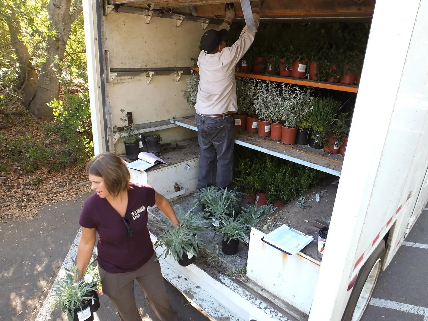 Fall Plant Sale 2014 Preparations