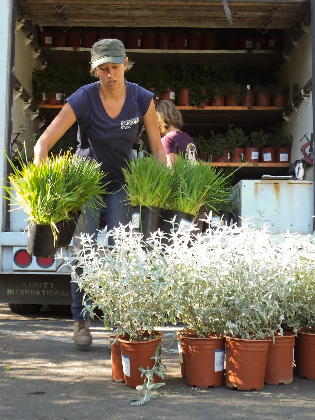 Fall Plant Sale 2014 Preparations