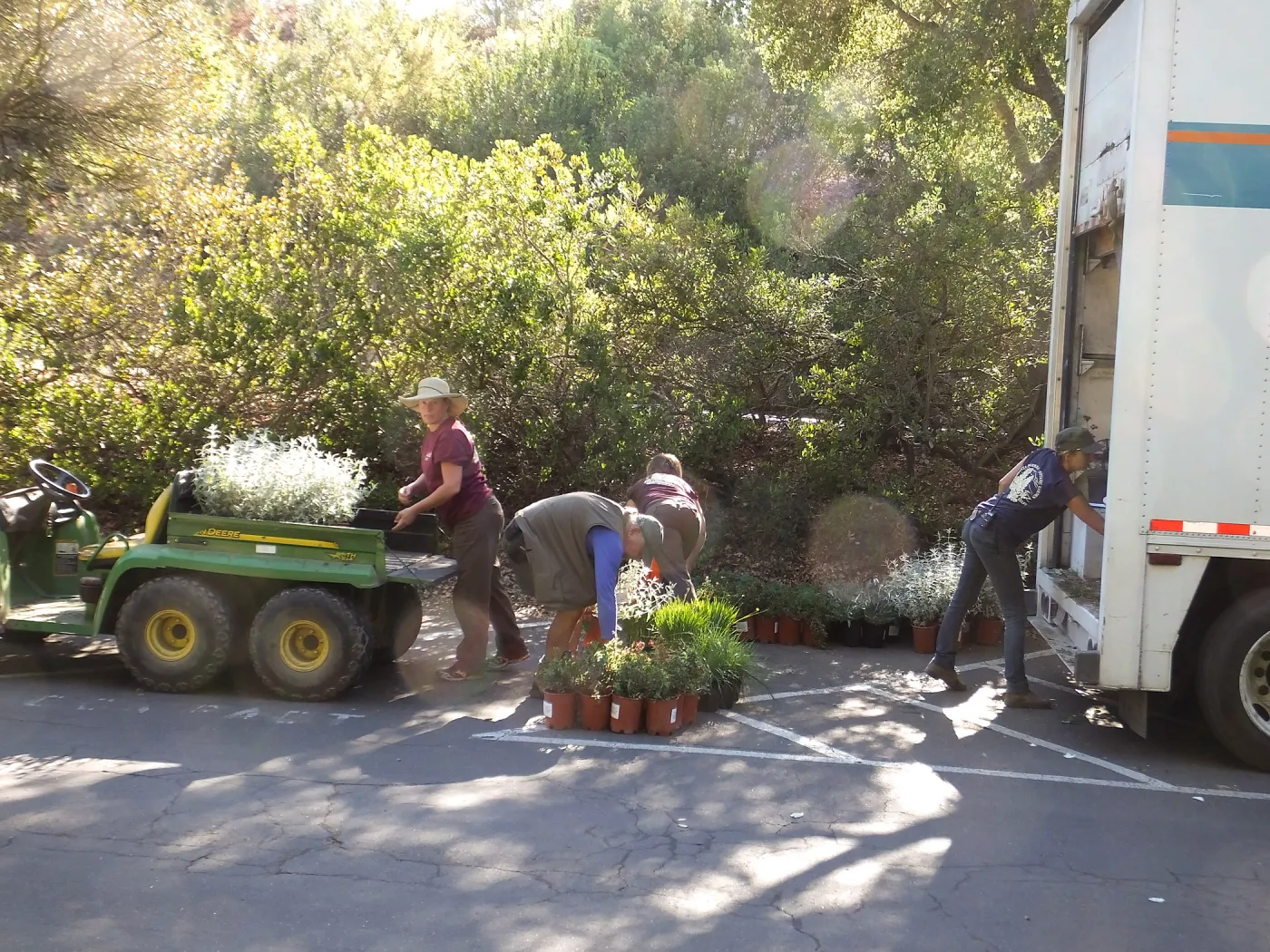 Fall Plant Sale 2014 Preparations
