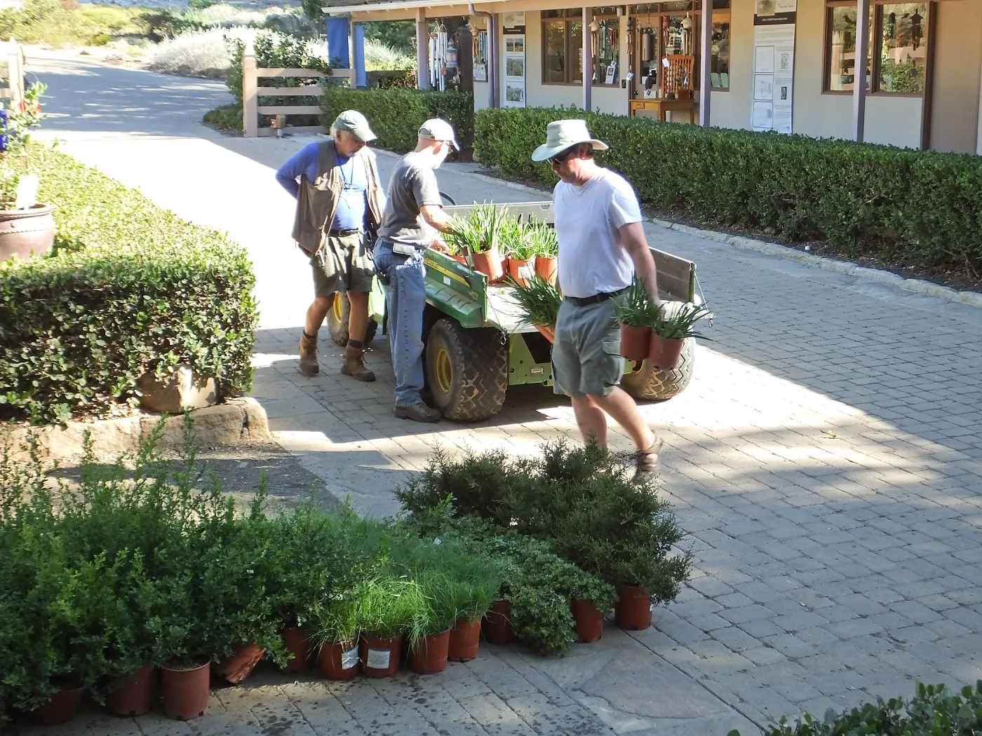 Fall Plant Sale 2014 Preparations
