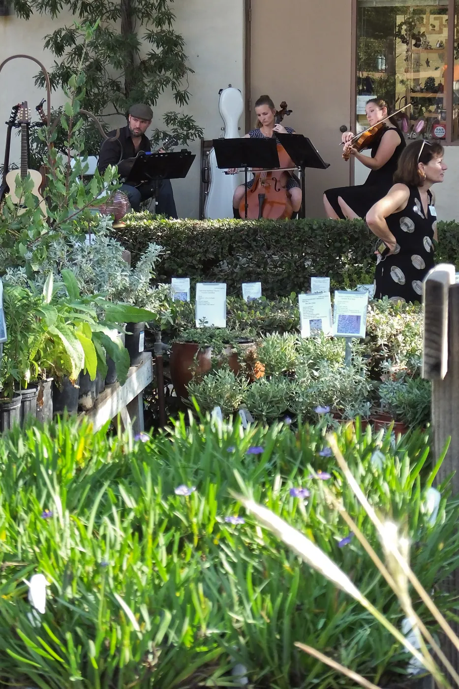 Fall Plant Sale 2014 Member Preview Party, Mission Creek Trio