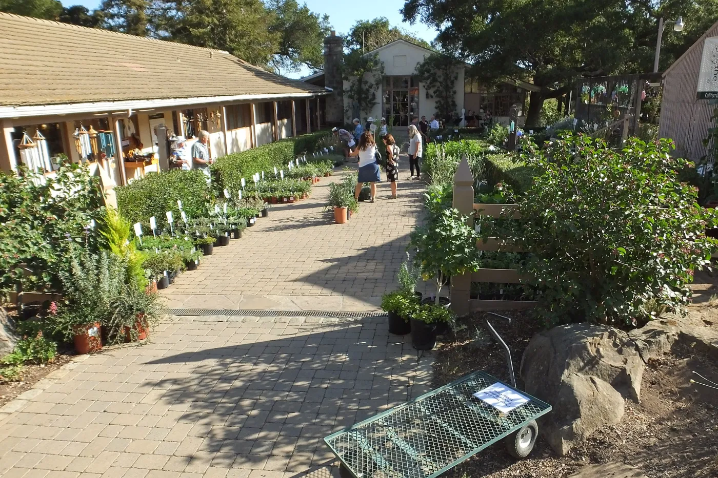 Fall Plant Sale 2014 Member Preview Party
