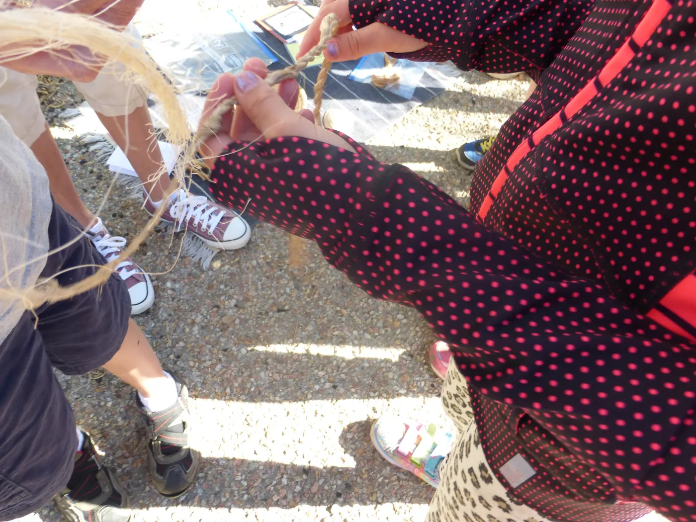 Chumash Uses of Plants Tour for 3rd Graders from Cold Springs School