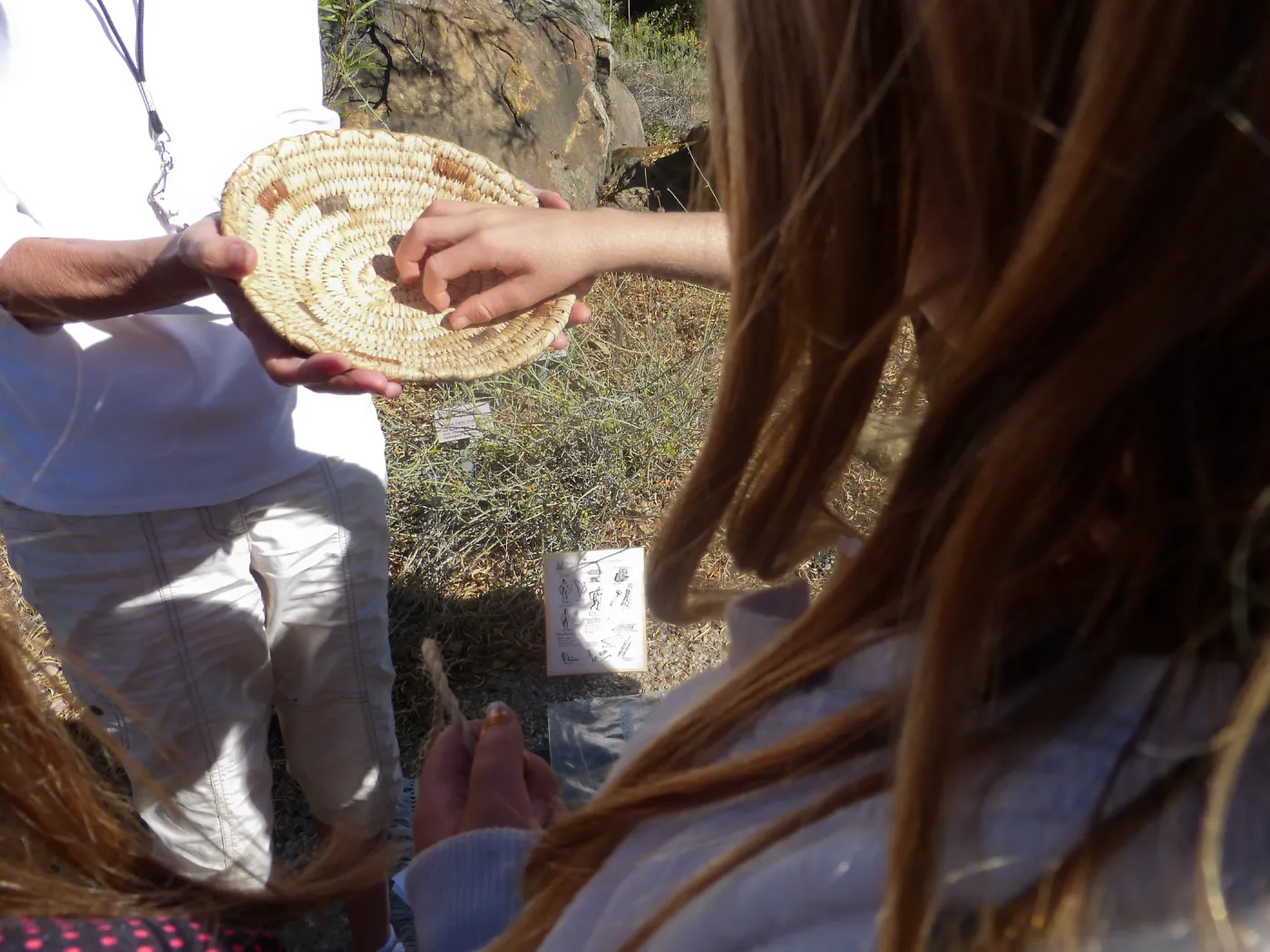 Chumash Uses of Plants Tour for 3rd Graders from Cold Springs School