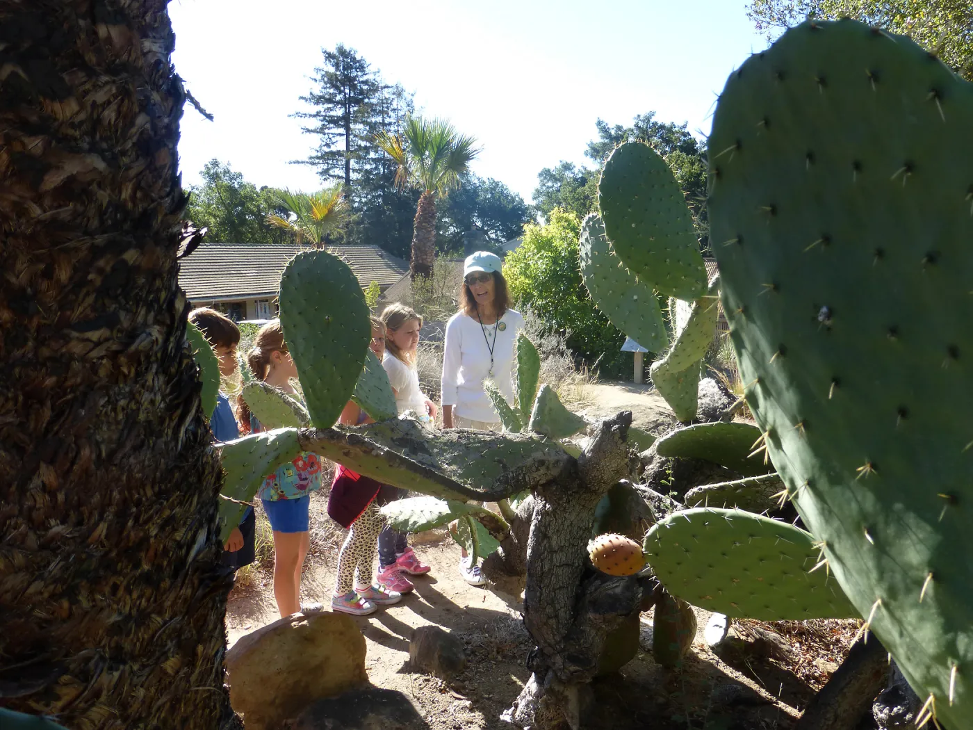Chumash Uses of Plants Tour for 3rd Graders from Cold Springs School