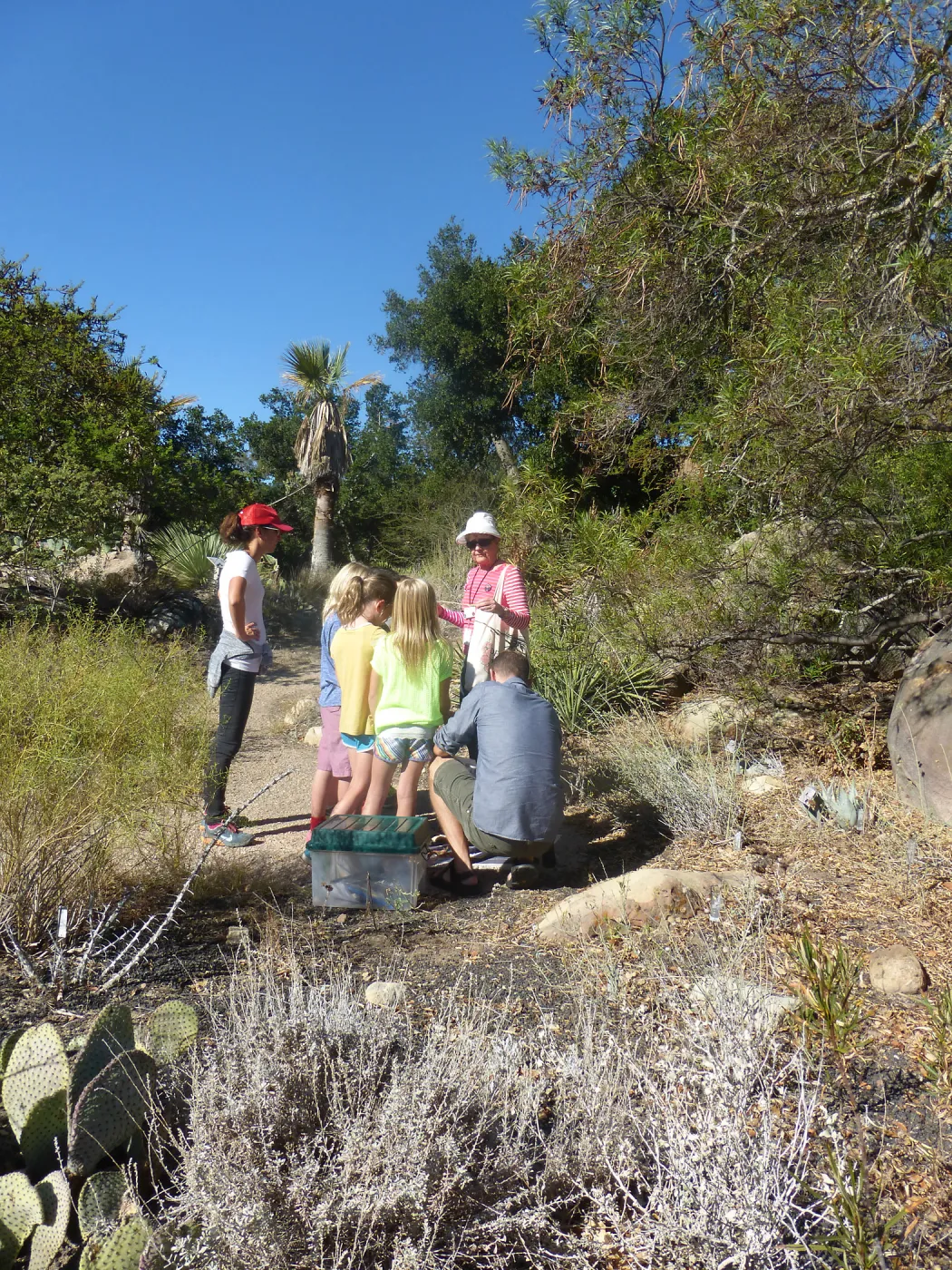 Chumash Uses of Plants Tour for 3rd Graders from Cold Springs School