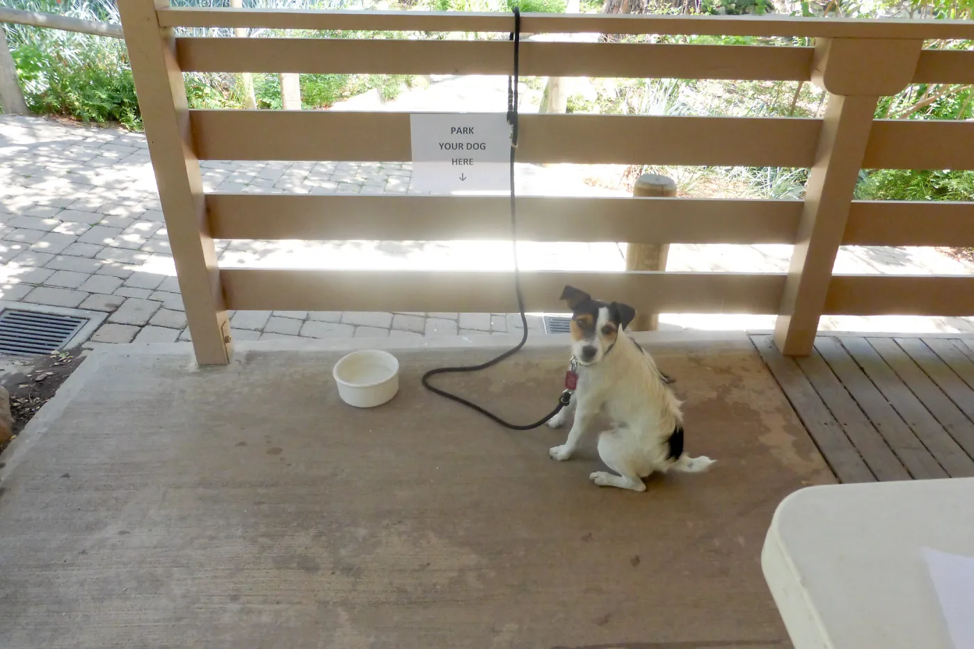 Park Your Dog Here
