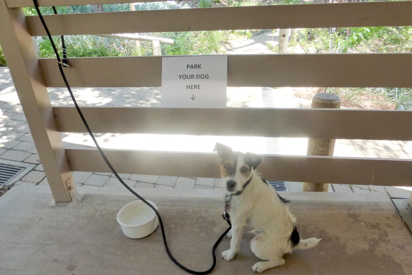 Park Your Dog Here