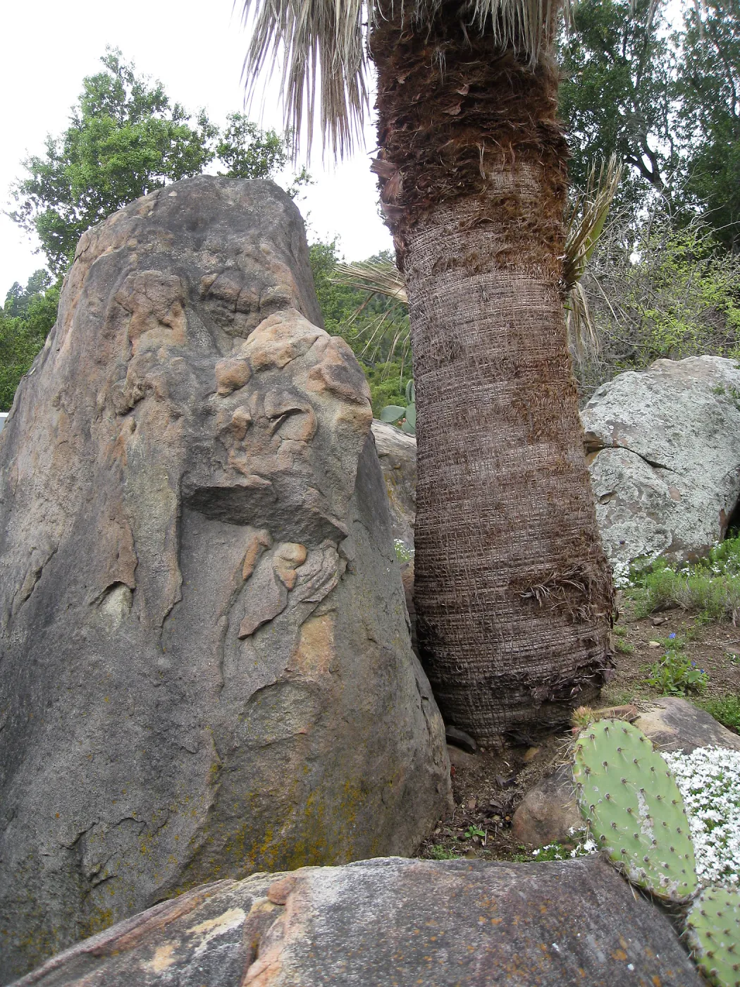 Desert Section