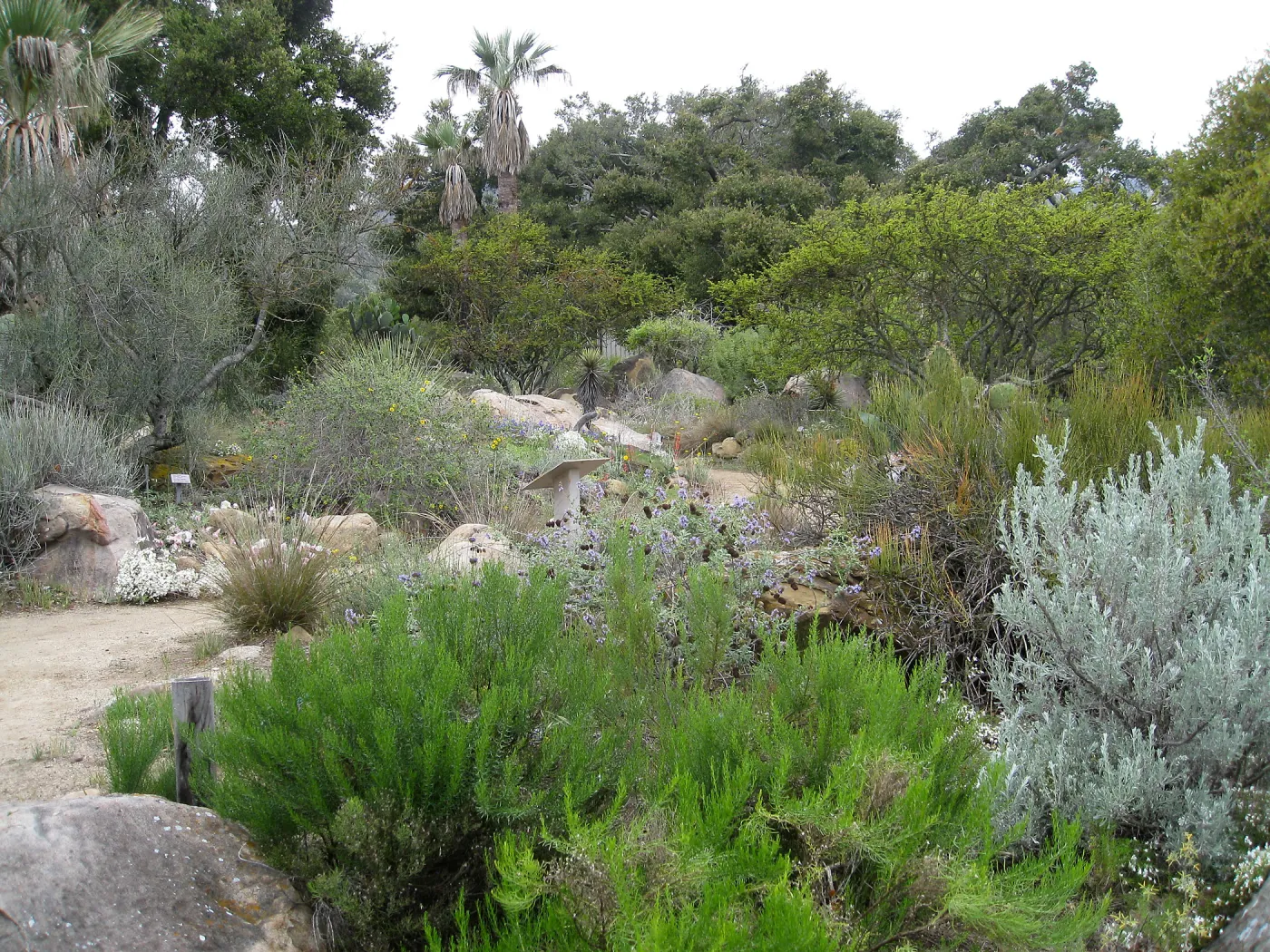 Desert Section