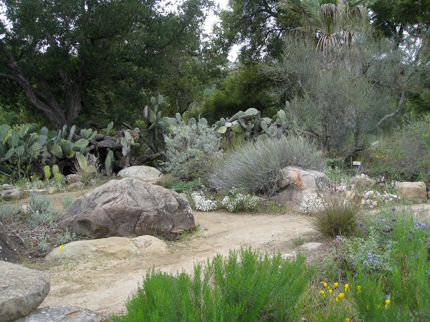 Desert Section