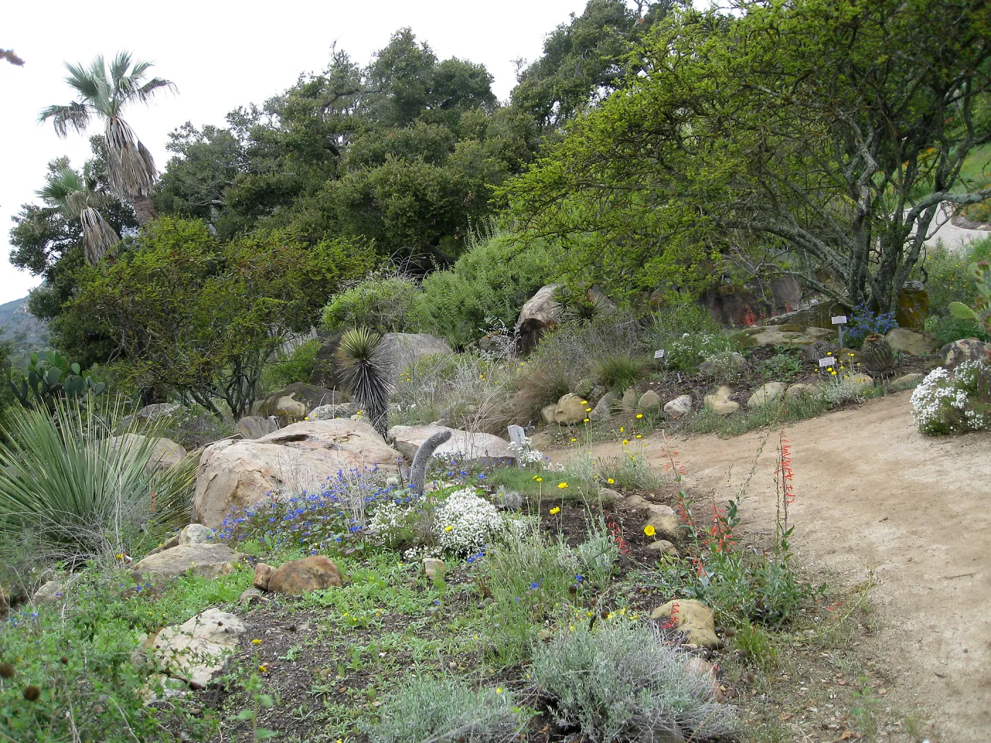 Desert Section