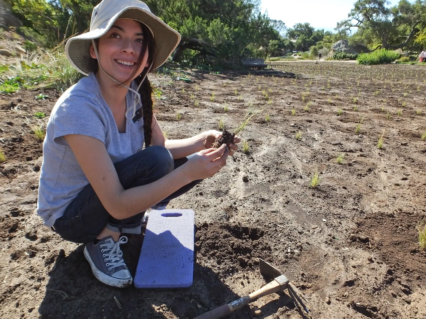 Meadow Revival Project, Blue Gramma Plug Planting, Volunteers from Hofmann Architecture