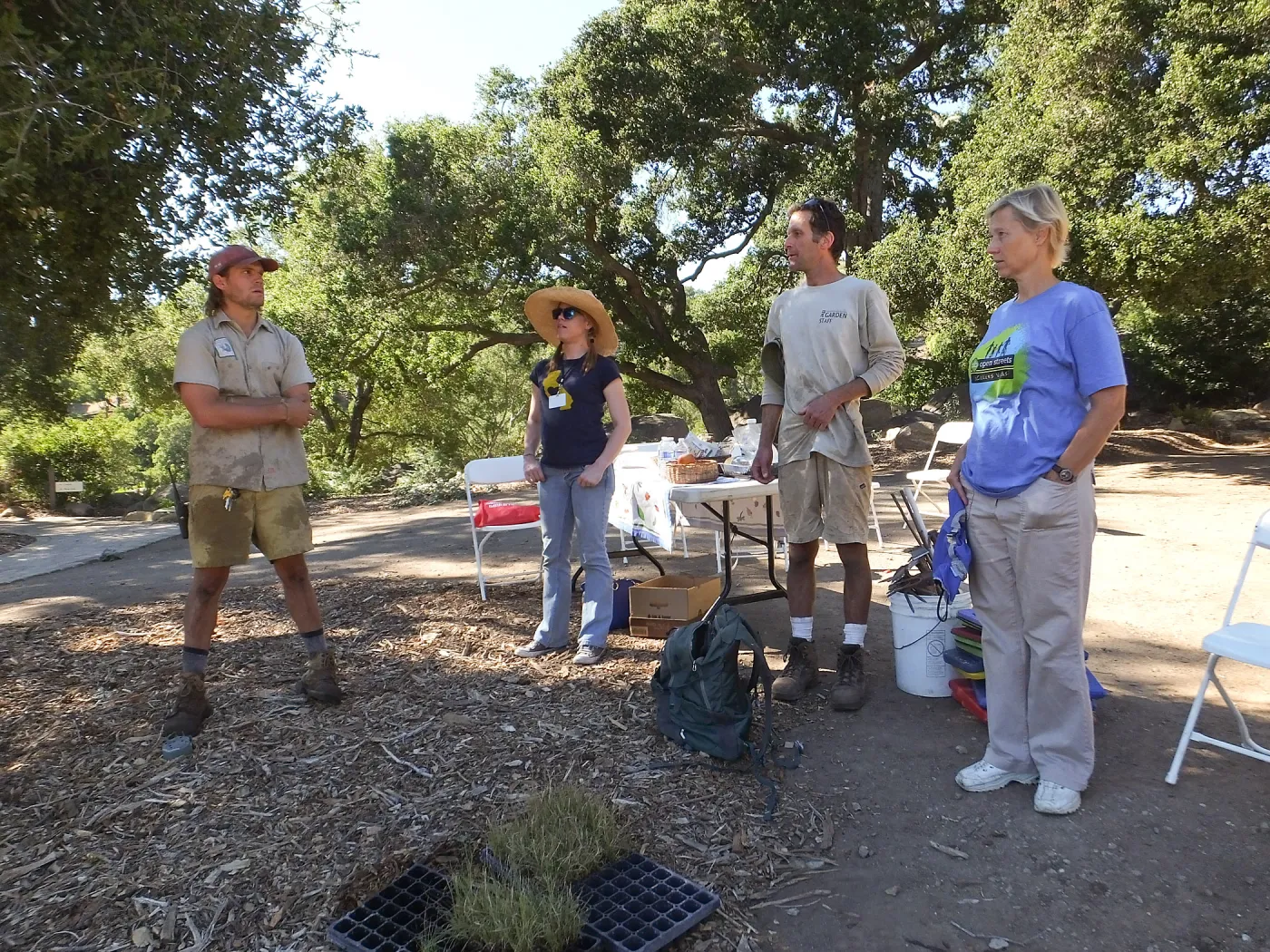 Meadow Revival Project, Blue Gramma Plug Planting