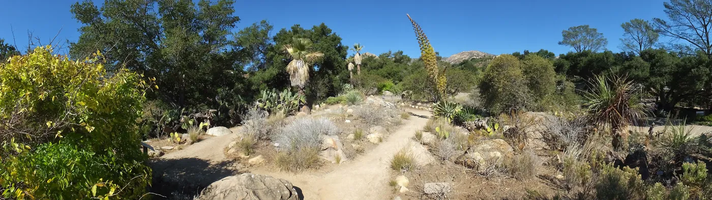 Desert Section