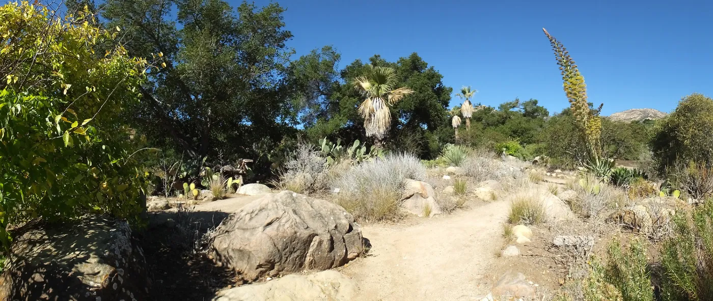 Desert Section