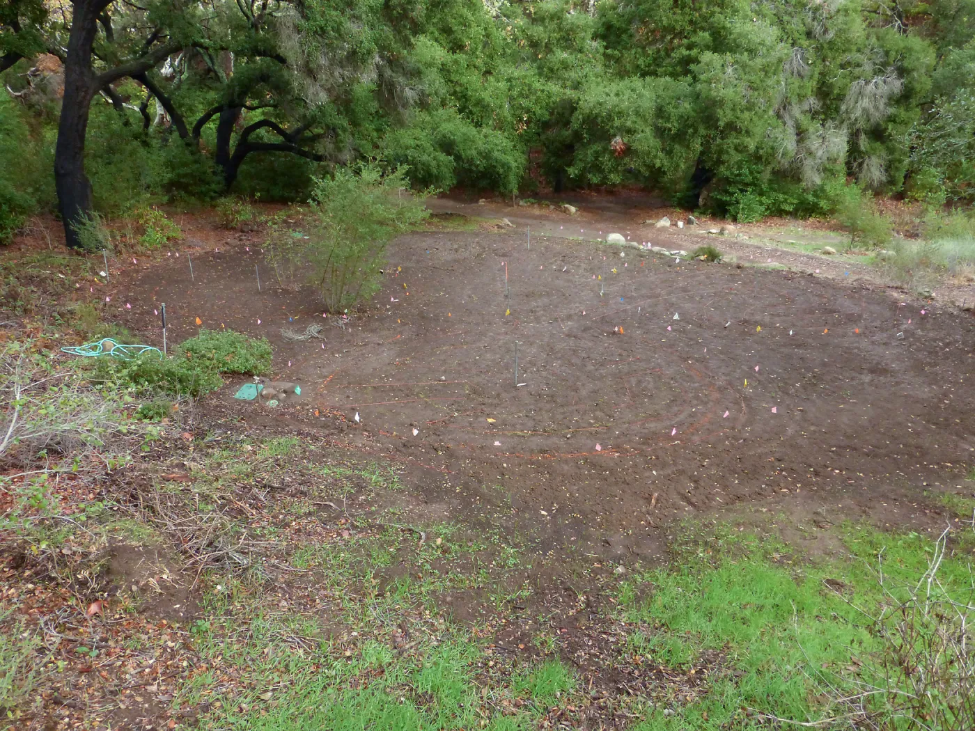 Centennial Maze Installation Site