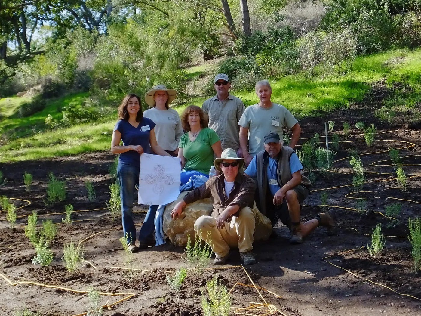 Centennial Maze Planting