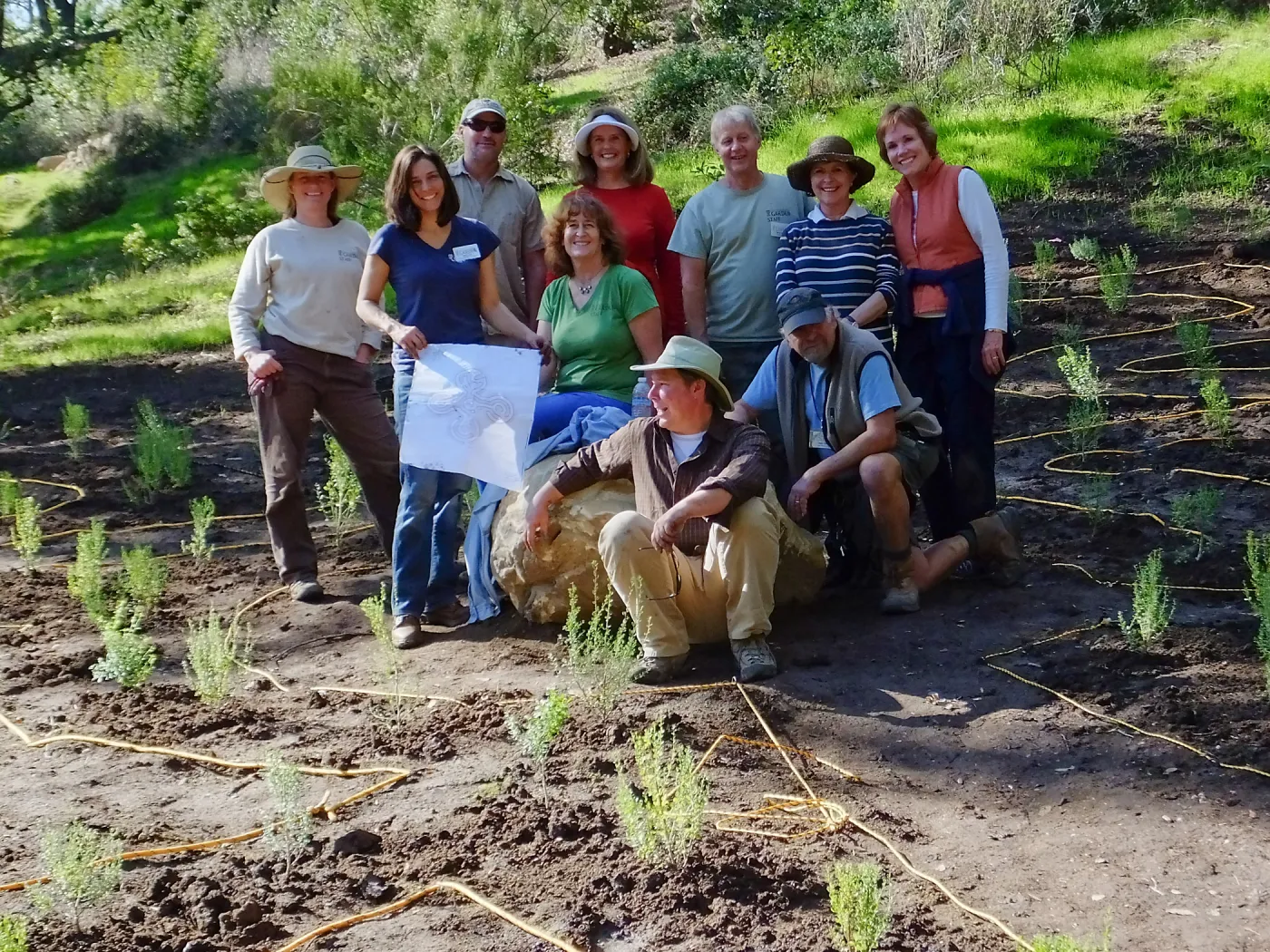 Centennial Maze Planting