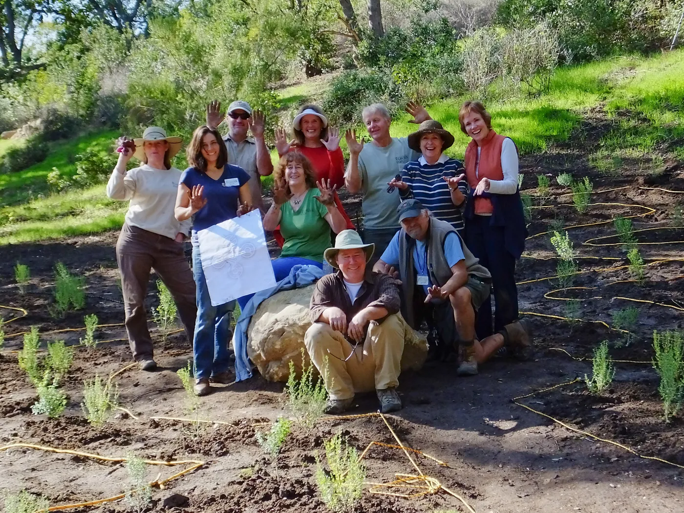 Centennial Maze Planting
