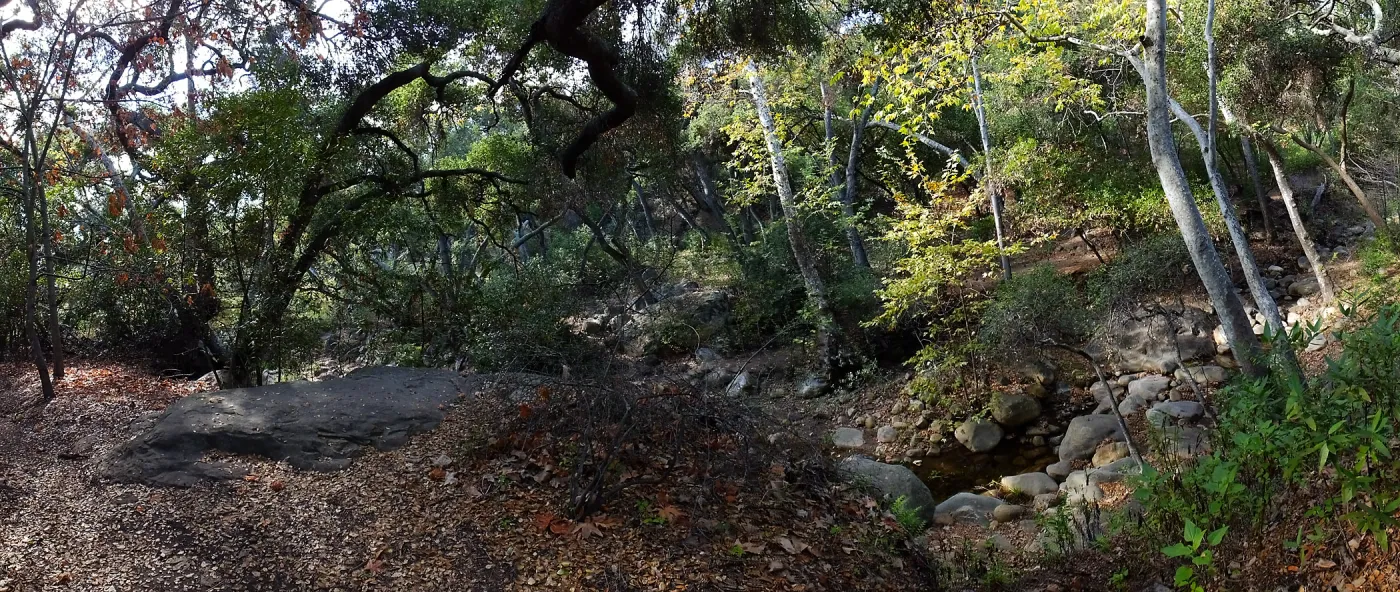 View from east wall of Mission Canyon on trail below Manzanita Section
