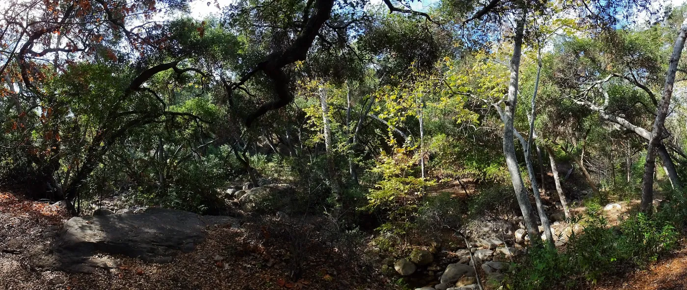 View from east wall of Mission Canyon on trail below Manzanita Section