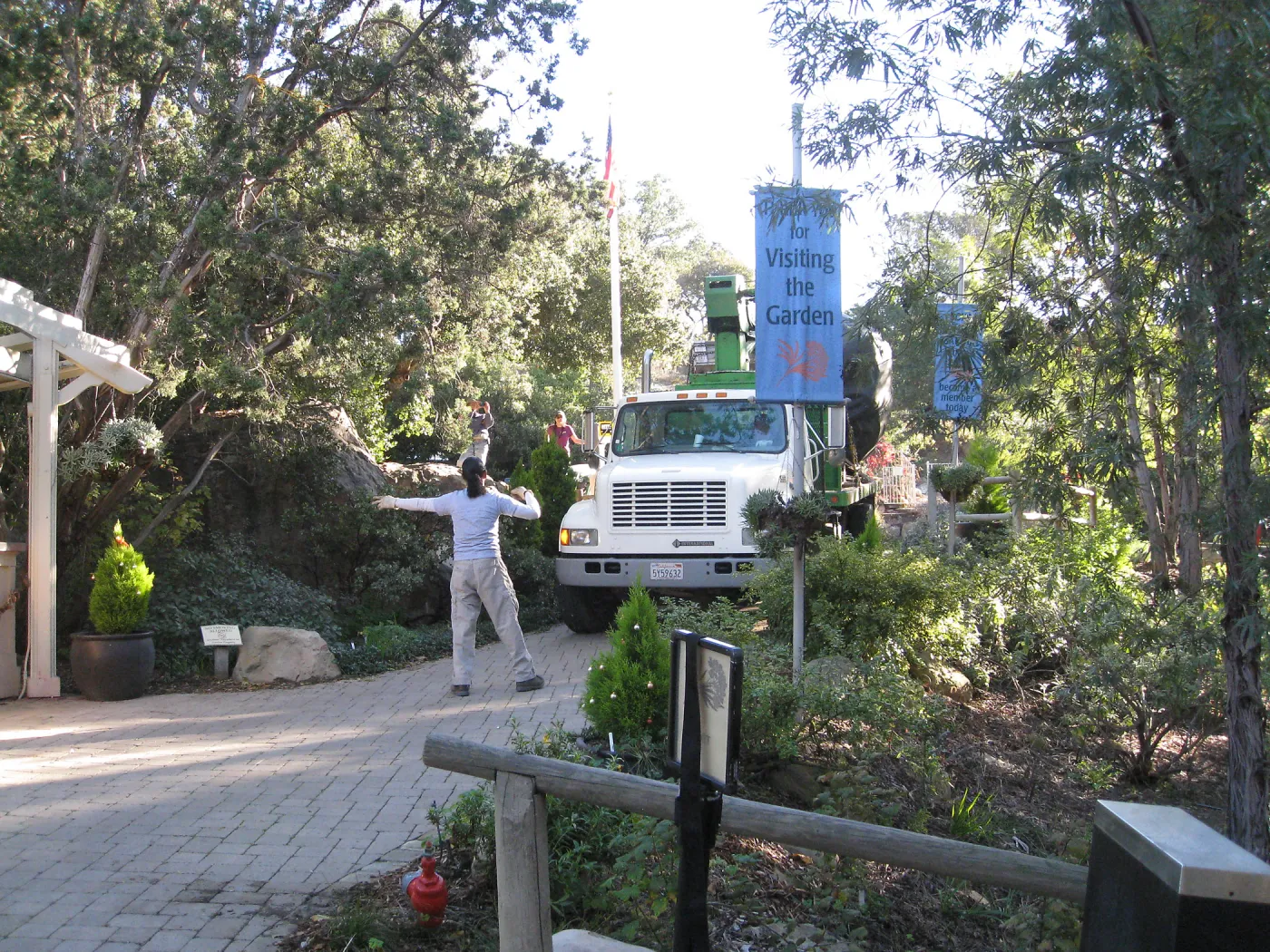 2012 Meadow Oaks Planting, Berylwood Tree Farms