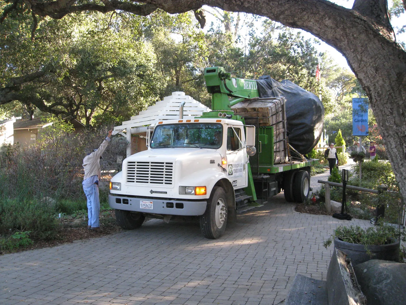 2012 Meadow Oaks Planting, Berylwood Tree Farms