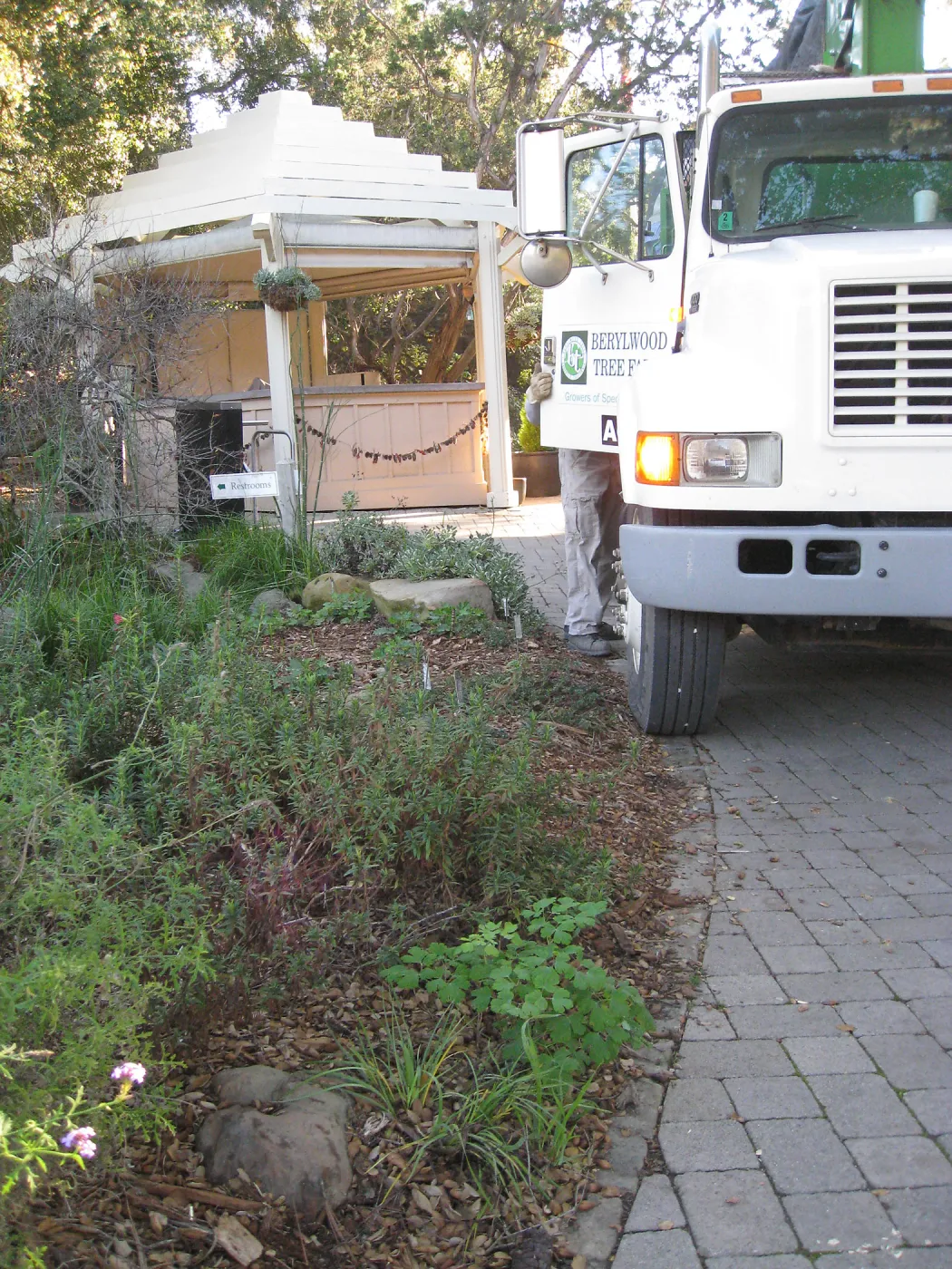 2012 Meadow Oaks Planting, Berylwood Tree Farms