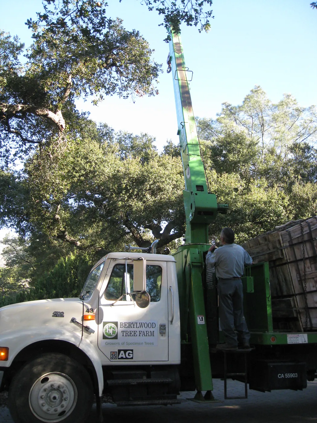 2012 Meadow Oaks Planting, Berylwood Tree Farms