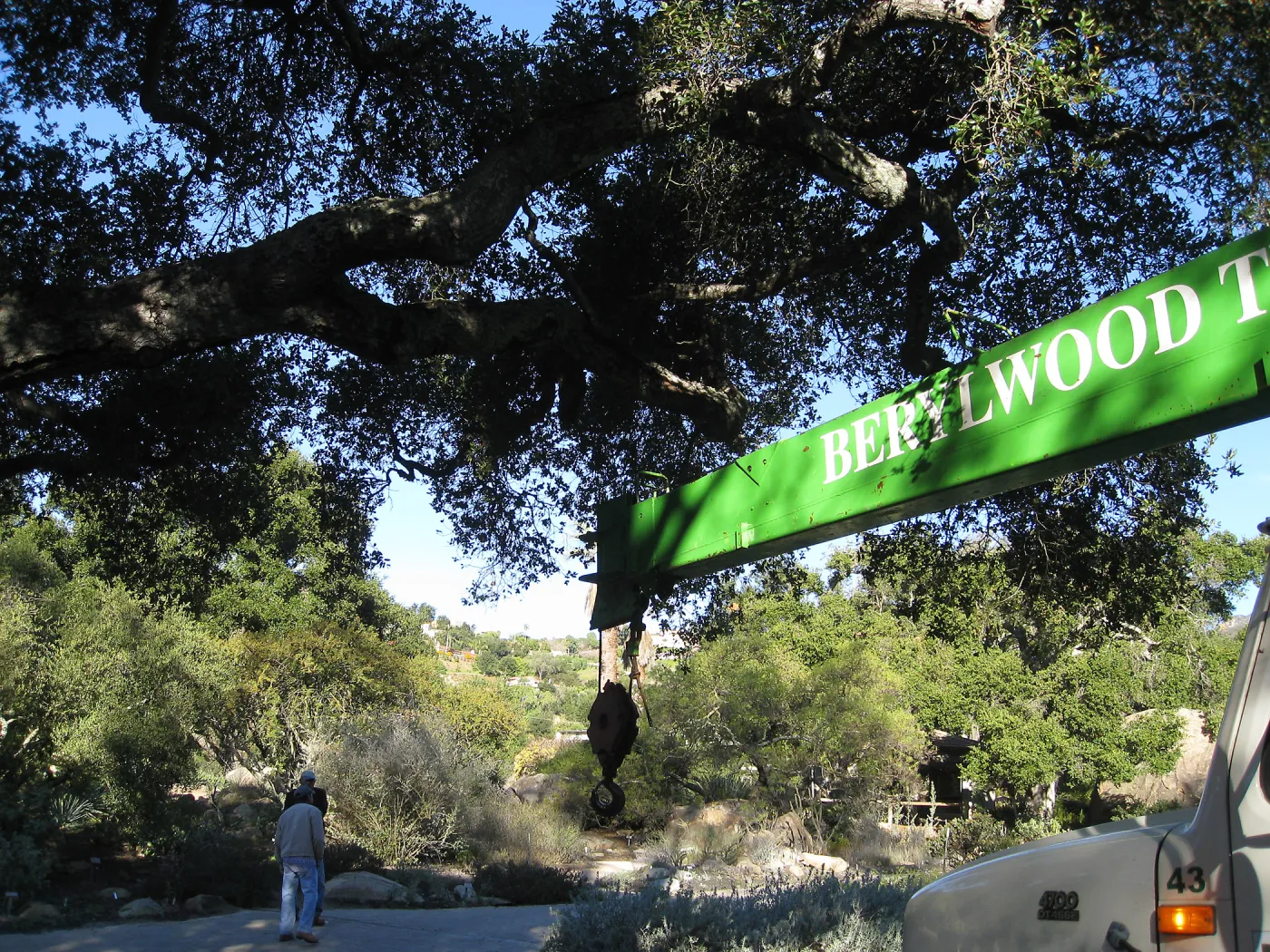 2012 Meadow Oaks Planting, Berylwood Tree Farms