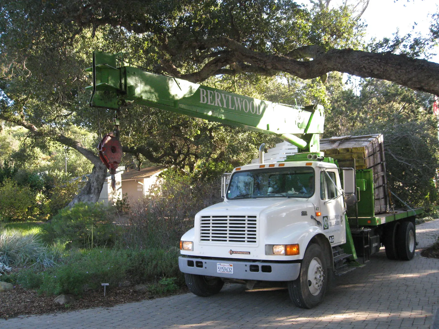 2012 Meadow Oaks Planting, Berylwood Tree Farms
