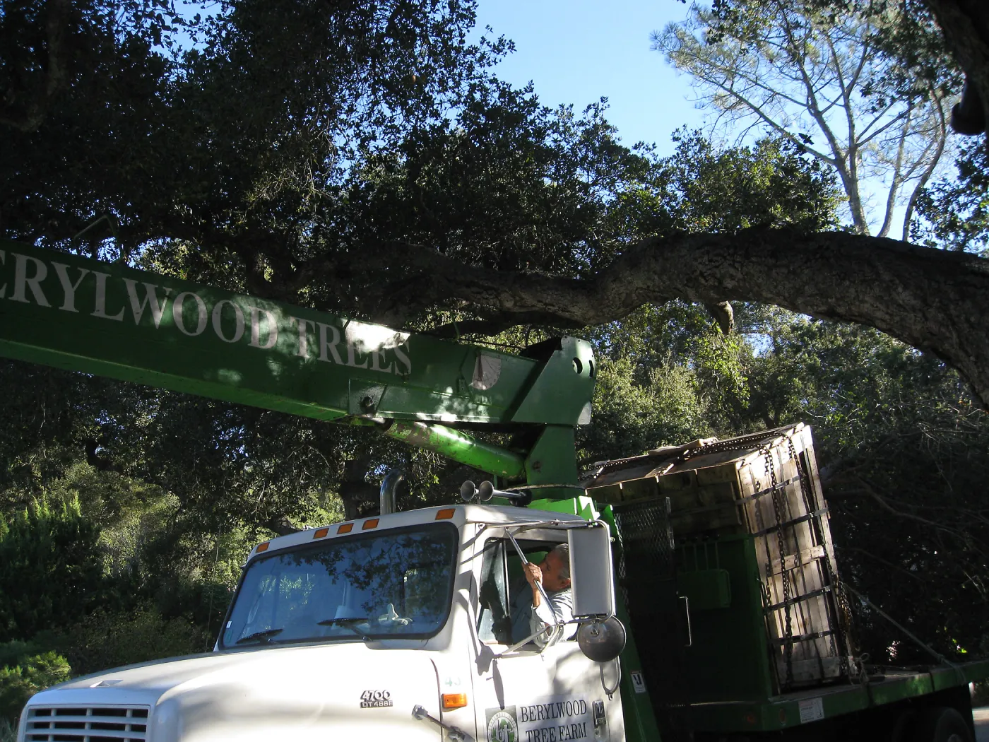 2012 Meadow Oaks Planting, Berylwood Tree Farms
