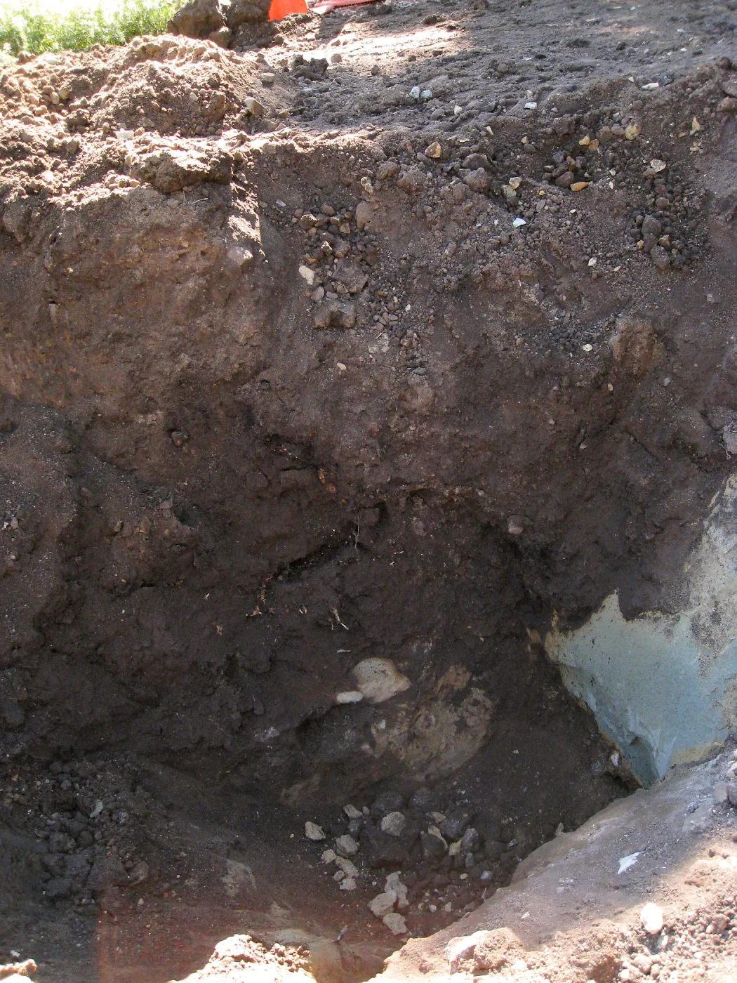 2012 Meadow Oaks Planting