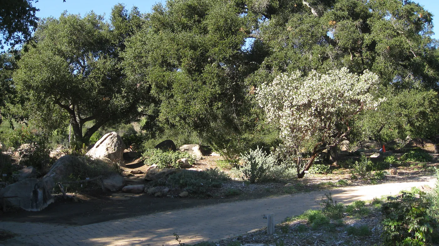 2012 Meadow Oaks Planting