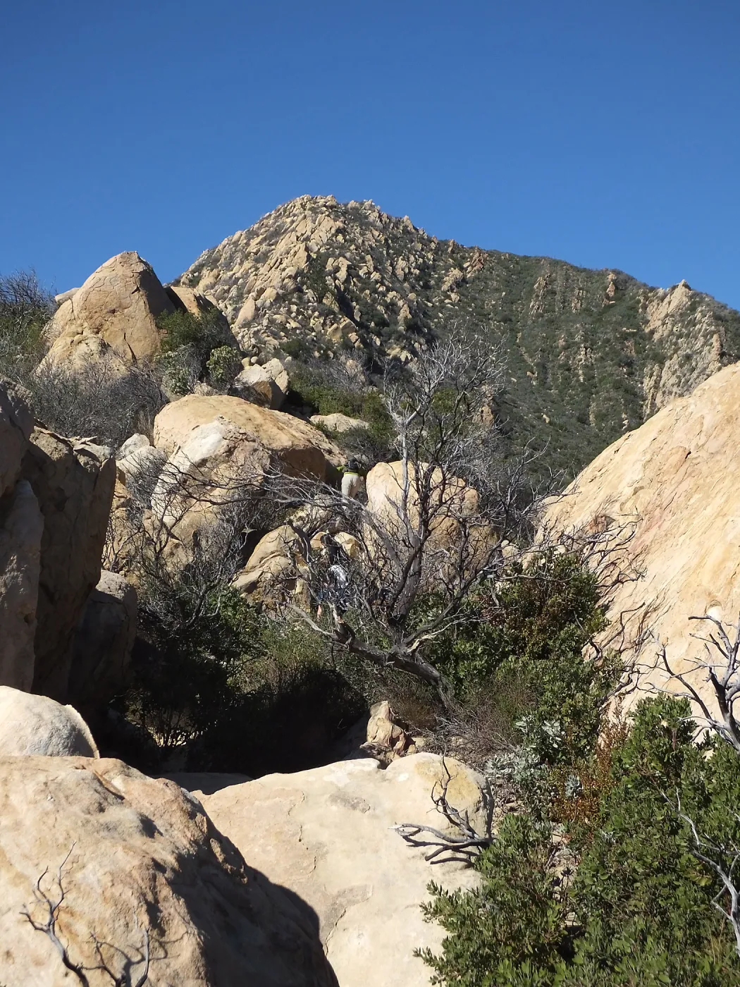 New Years Day Arlington Peak Hike, view towards summit