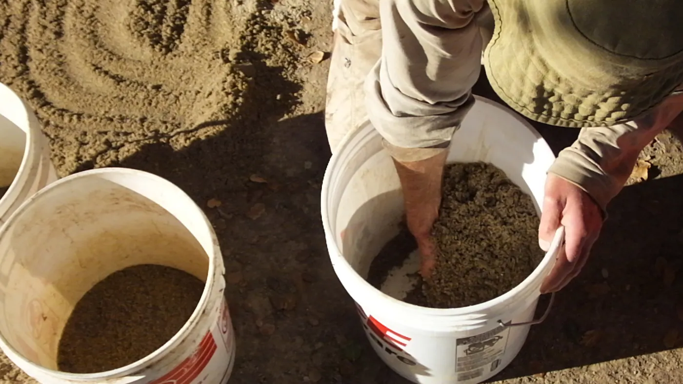 Meadow Restoration Project, Year 2, Wildflower Seed Sowing, Mixing Sand with Seed