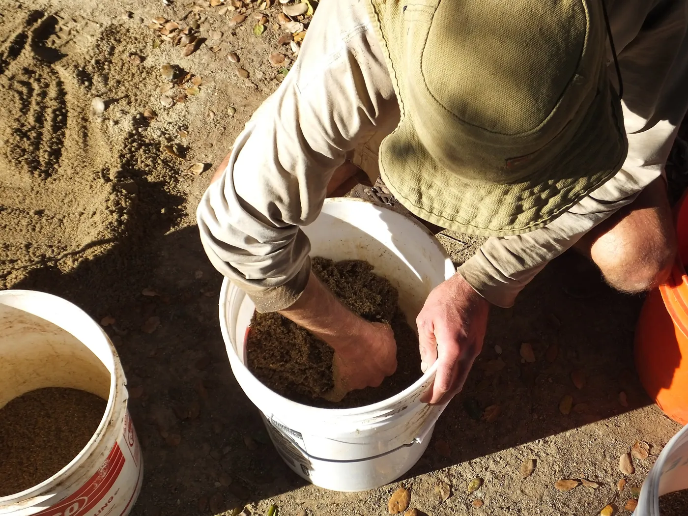 Meadow Restoration Project, Year 2, Wildflower Seed Sowing, Mixing Sand with Seed