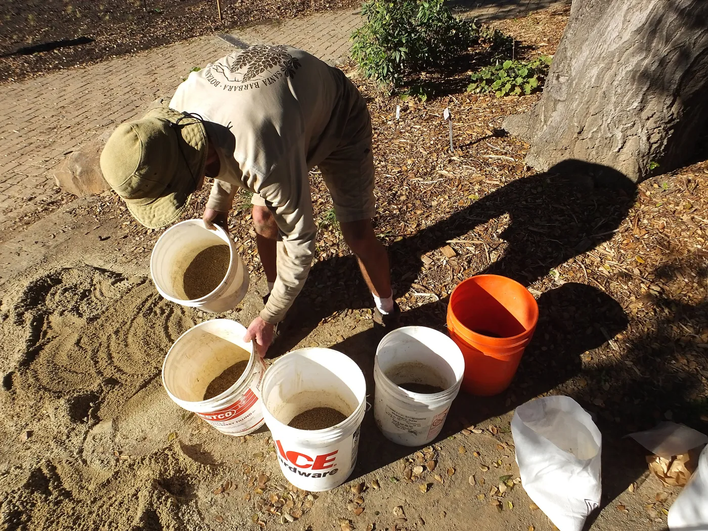 Meadow Restoration Project, Year 2, Wildflower Seed Sowing, Mixing Sand with Seed